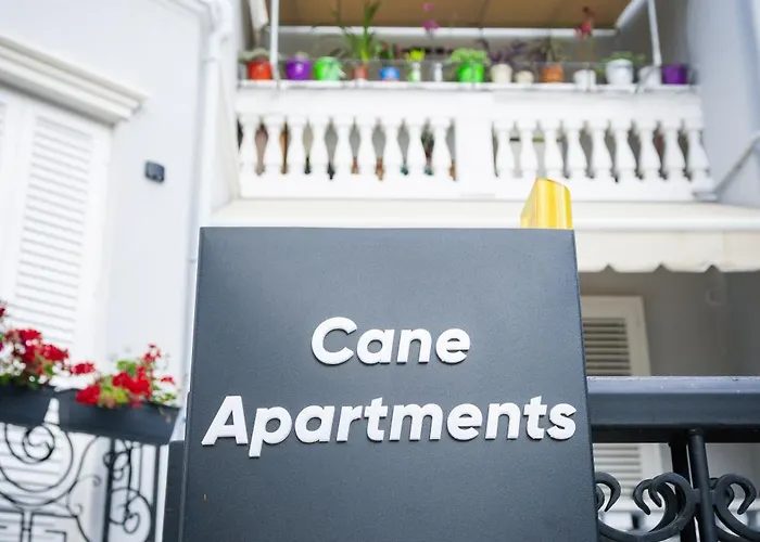 Blossom Cane ティラナ